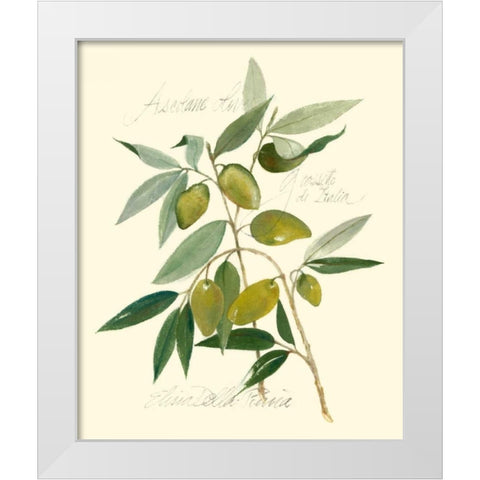 Ascolane Olives White Modern Wood Framed Art Print by Della-Piana, Elissa