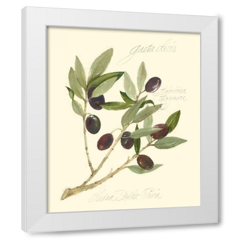 Gaeta Olives White Modern Wood Framed Art Print by Della-Piana, Elissa