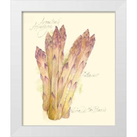 Argenteuil Asparagus White Modern Wood Framed Art Print by Della-Piana, Elissa