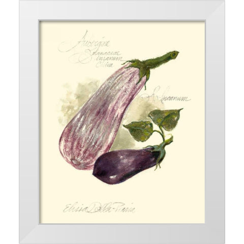 Aubergine Eggplant White Modern Wood Framed Art Print by Della-Piana, Elissa