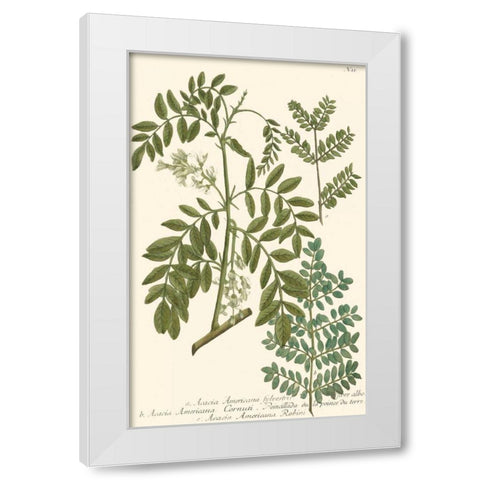 Weinmann Leaves I White Modern Wood Framed Art Print by Weinmann