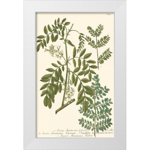Weinmann Leaves I White Modern Wood Framed Art Print by Weinmann