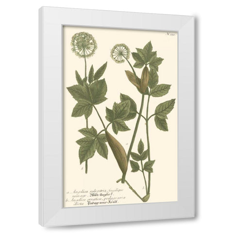 Weinmann Leaves IV White Modern Wood Framed Art Print by Weinmann