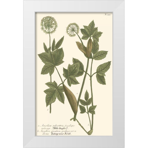 Weinmann Leaves IV White Modern Wood Framed Art Print by Weinmann