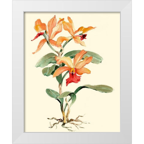 Orange Orchid White Modern Wood Framed Art Print by Waldman, Joy