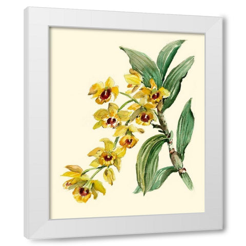 Dendrobium Orchid White Modern Wood Framed Art Print by Waldman, Joy