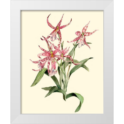 Mittassia Hybrid Orchid White Modern Wood Framed Art Print by Waldman, Joy