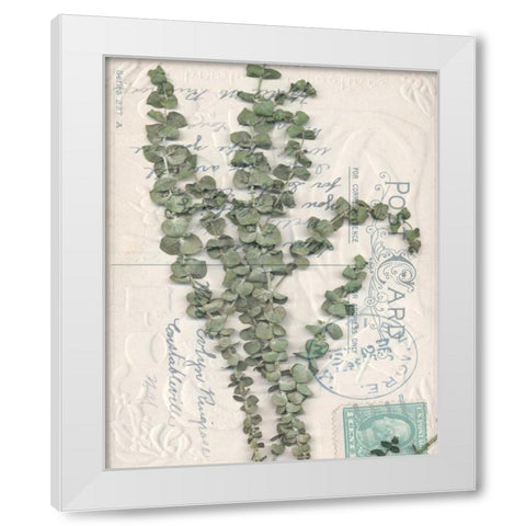 Small Postcard Wildflowers IV White Modern Wood Framed Art Print by Goldberger, Jennifer