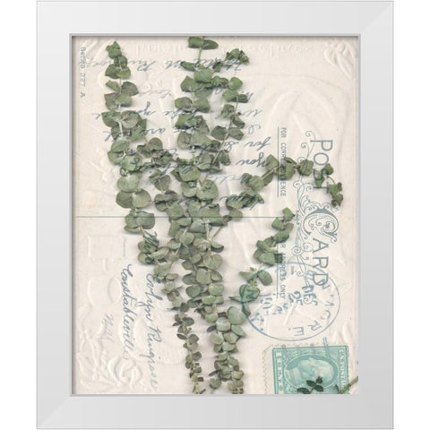 Small Postcard Wildflowers IV White Modern Wood Framed Art Print by Goldberger, Jennifer