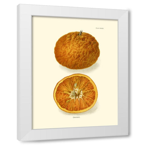 Orange White Modern Wood Framed Art Print by Unknown