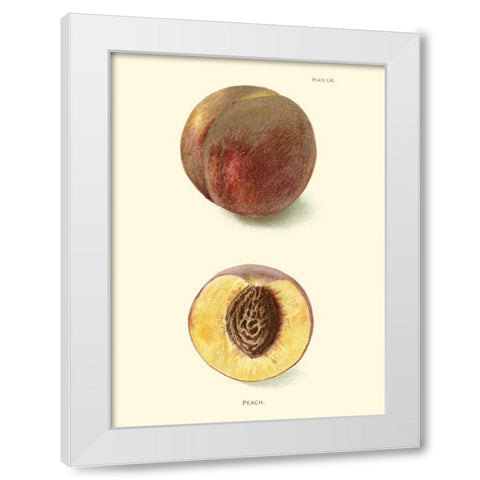 Peach White Modern Wood Framed Art Print by Unknown