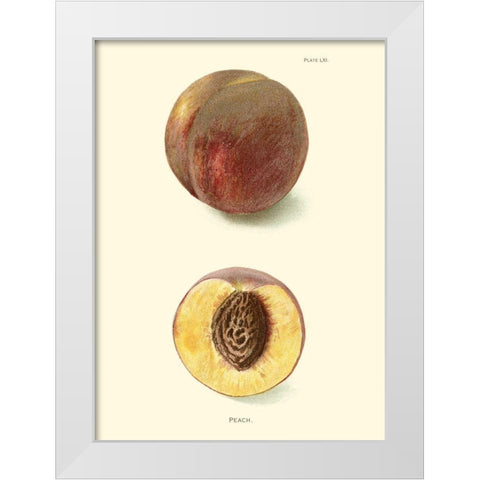 Peach White Modern Wood Framed Art Print by Unknown