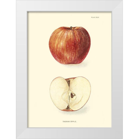 Apple II White Modern Wood Framed Art Print by Unknown