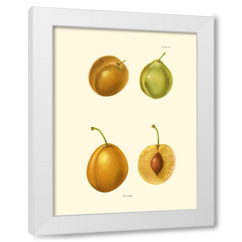 Plums I White Modern Wood Framed Art Print by Unknown