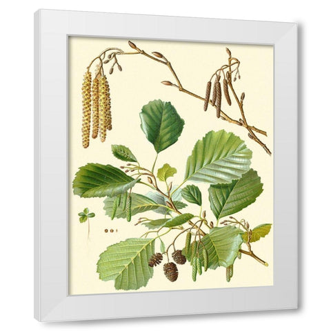 Pinecones and Foliage II White Modern Wood Framed Art Print by Vision Studio