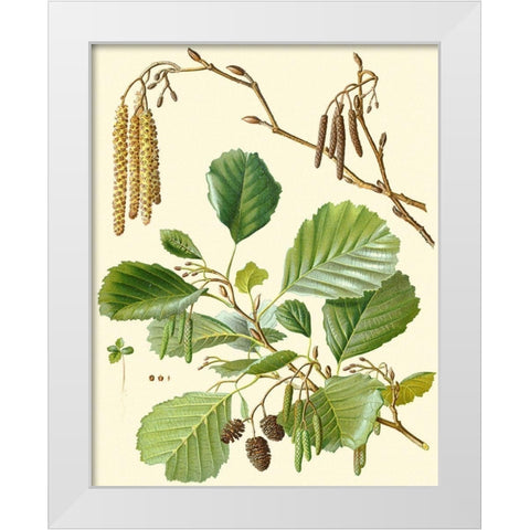 Pinecones and Foliage II White Modern Wood Framed Art Print by Vision Studio