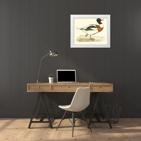 Shieldrake White Modern Wood Framed Art Print by Vision Studio