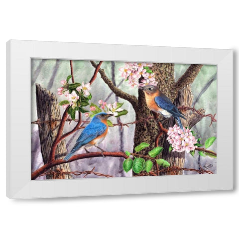 Bluebirds White Modern Wood Framed Art Print by Dornish, Al