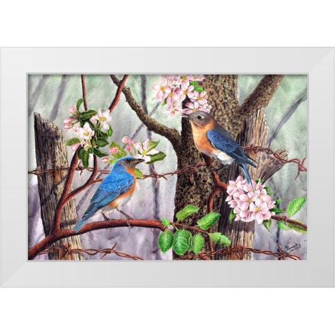 Bluebirds White Modern Wood Framed Art Print by Dornish, Al