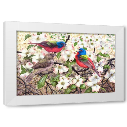 Painted Bunting White Modern Wood Framed Art Print by Dornish, Al