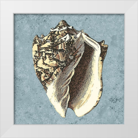 Stonewashed Shells I White Modern Wood Framed Art Print by Vision Studio