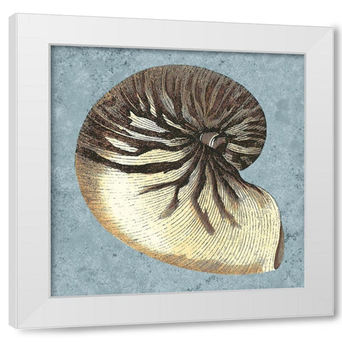 Stonewashed Shells III White Modern Wood Framed Art Print by Vision Studio