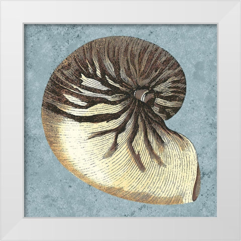 Stonewashed Shells III White Modern Wood Framed Art Print by Vision Studio