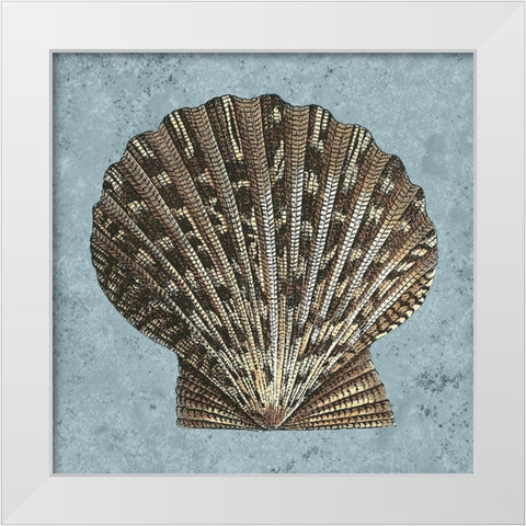 Stonewashed Shells IV White Modern Wood Framed Art Print by Vision Studio
