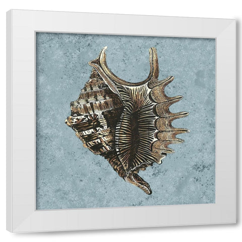 Stonewashed Shells V White Modern Wood Framed Art Print by Vision Studio