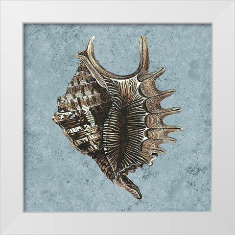 Stonewashed Shells V White Modern Wood Framed Art Print by Vision Studio
