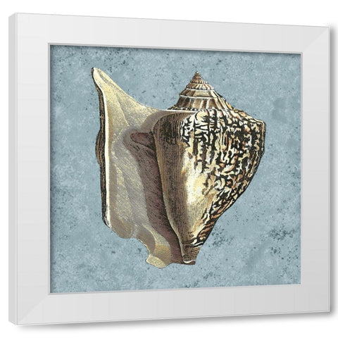 Stonewashed Shells VI White Modern Wood Framed Art Print by Vision Studio