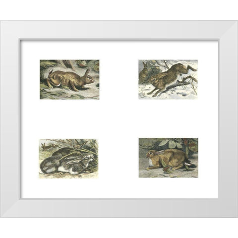 Micro Bunnies White Modern Wood Framed Art Print by Unknown
