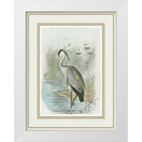 Common Heron White Modern Wood Framed Art Print by Frohawk