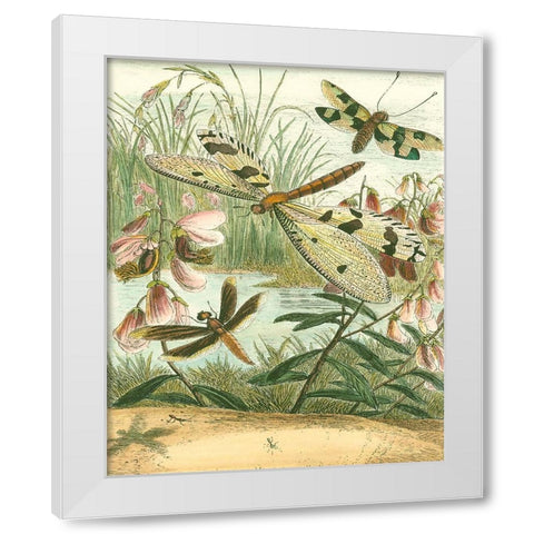 Dragonfly Gathering I White Modern Wood Framed Art Print by Vision Studio