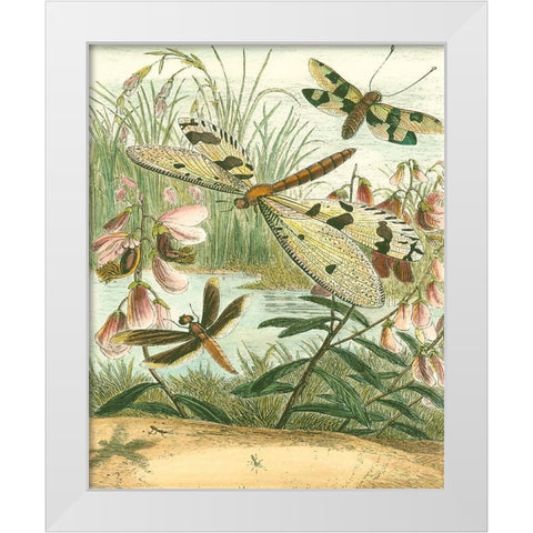Dragonfly Gathering I White Modern Wood Framed Art Print by Vision Studio