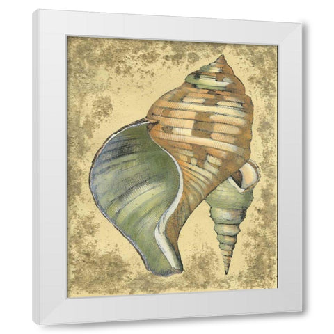 Sand and Shells II White Modern Wood Framed Art Print by Vision Studio