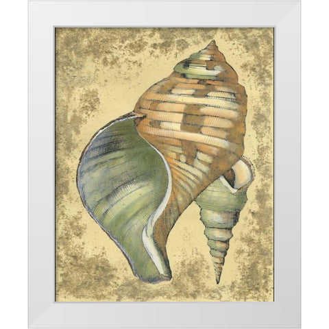 Sand and Shells II White Modern Wood Framed Art Print by Vision Studio