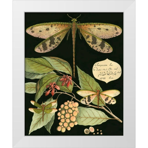 Whimsical Dragonfly on Black I White Modern Wood Framed Art Print by Vision Studio