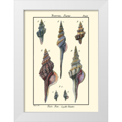 Sea Shells I White Modern Wood Framed Art Print by Diderot, Denis