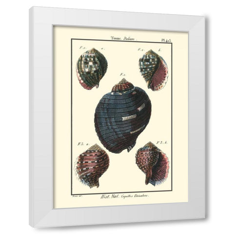 Sea Shells VII White Modern Wood Framed Art Print by Diderot, Denis