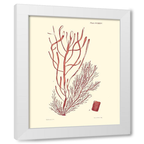 Shades of Coral III White Modern Wood Framed Art Print by Vision Studio