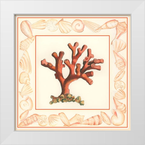 Coral with Shell Border I White Modern Wood Framed Art Print by Vision Studio