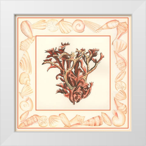 Coral with Shell Border III White Modern Wood Framed Art Print by Vision Studio
