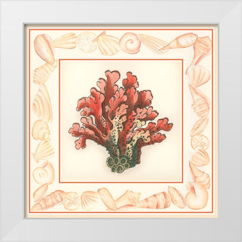 Coral with Shell Border IV White Modern Wood Framed Art Print by Vision Studio