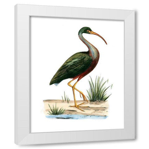 Water Birds I White Modern Wood Framed Art Print by Vision Studio