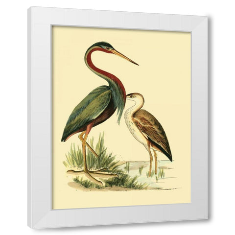 Water Birds III White Modern Wood Framed Art Print by Vision Studio