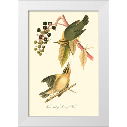 Audubons Warbler White Modern Wood Framed Art Print by Audubon, John James
