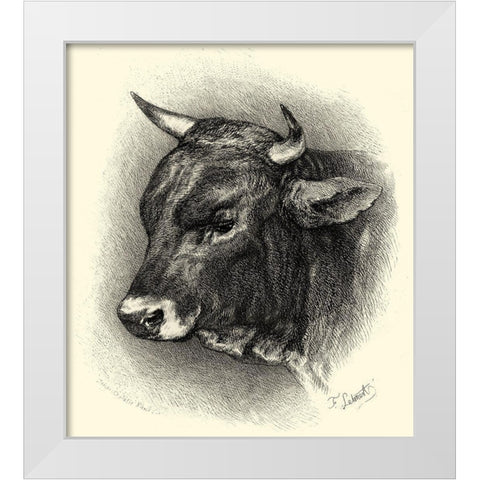 Antique Cattle IV White Modern Wood Framed Art Print by Lehnert, F.