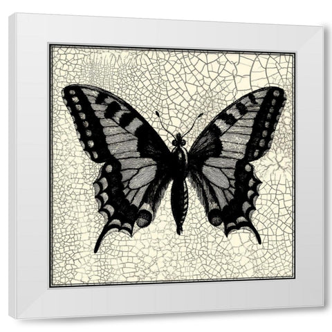 Classical Butterfly I White Modern Wood Framed Art Print by Vision Studio
