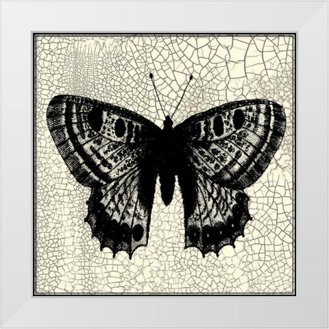Classical Butterfly II White Modern Wood Framed Art Print by Vision Studio